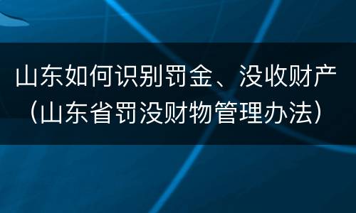 山东如何识别罚金、没收财产（山东省罚没财物管理办法）