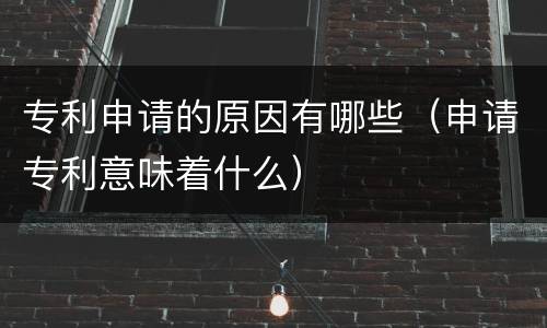 专利申请的原因有哪些（申请专利意味着什么）