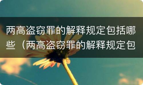 两高盗窃罪的解释规定包括哪些（两高盗窃罪的解释规定包括哪些）
