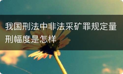 我国刑法中非法采矿罪规定量刑幅度是怎样