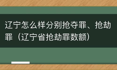辽宁怎么样分别抢夺罪、抢劫罪（辽宁省抢劫罪数额）