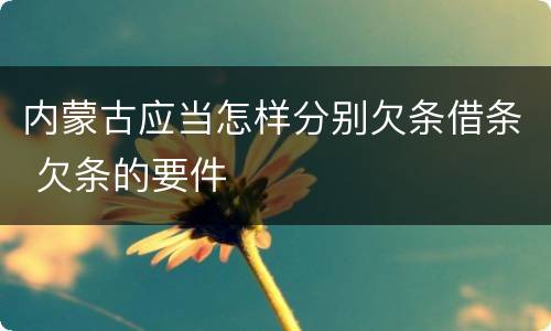 内蒙古应当怎样分别欠条借条 欠条的要件