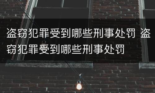 盗窃犯罪受到哪些刑事处罚 盗窃犯罪受到哪些刑事处罚