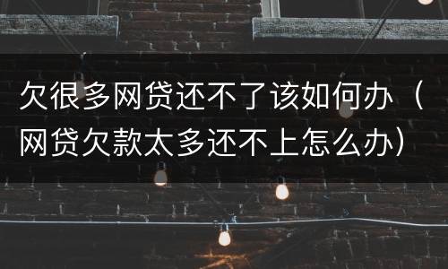 欠很多网贷还不了该如何办（网贷欠款太多还不上怎么办）