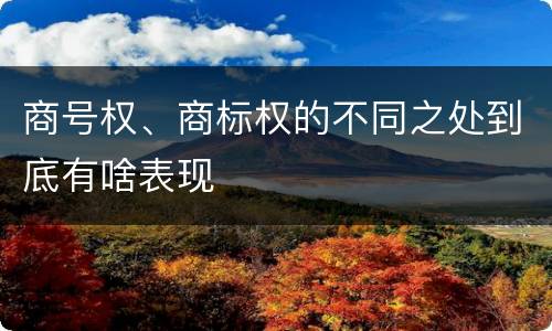 商号权、商标权的不同之处到底有啥表现