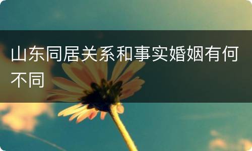 山东同居关系和事实婚姻有何不同
