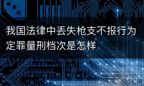 我国法律中丢失枪支不报行为定罪量刑档次是怎样