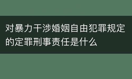 对暴力干涉婚姻自由犯罪规定的定罪刑事责任是什么