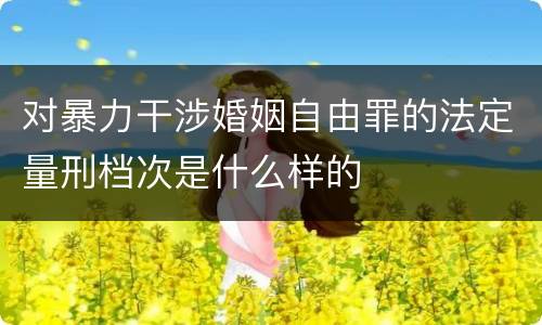 对暴力干涉婚姻自由罪的法定量刑档次是什么样的