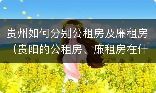 贵州如何分别公租房及廉租房（贵阳的公租房、廉租房在什么地方?）