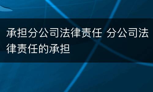 承担分公司法律责任 分公司法律责任的承担