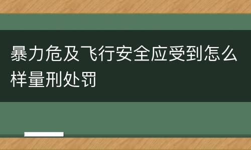 暴力危及飞行安全应受到怎么样量刑处罚