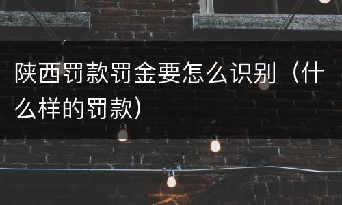 陕西罚款罚金要怎么识别（什么样的罚款）