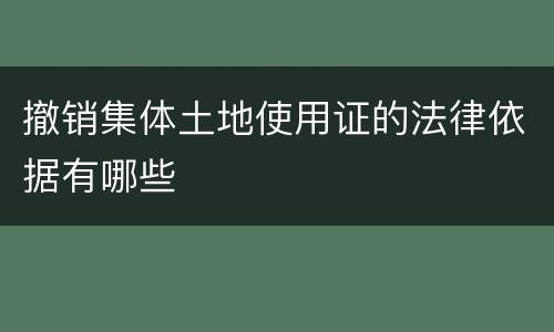 撤销集体土地使用证的法律依据有哪些
