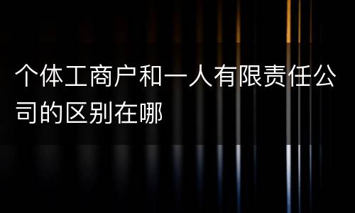 个体工商户和一人有限责任公司的区别在哪