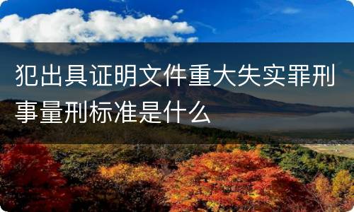 犯出具证明文件重大失实罪刑事量刑标准是什么