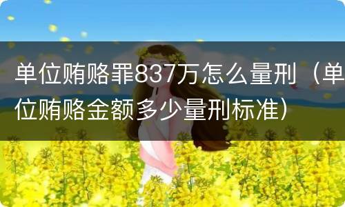 单位贿赂罪837万怎么量刑（单位贿赂金额多少量刑标准）