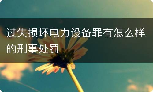 过失损坏电力设备罪有怎么样的刑事处罚