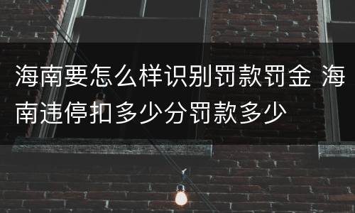海南要怎么样识别罚款罚金 海南违停扣多少分罚款多少