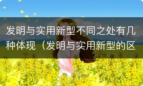 发明与实用新型不同之处有几种体现（发明与实用新型的区别）