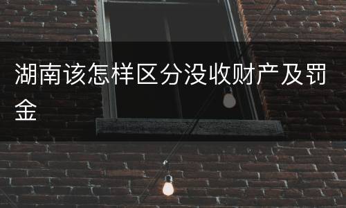 湖南该怎样区分没收财产及罚金