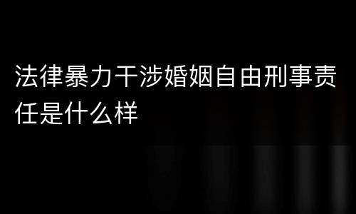 法律暴力干涉婚姻自由刑事责任是什么样