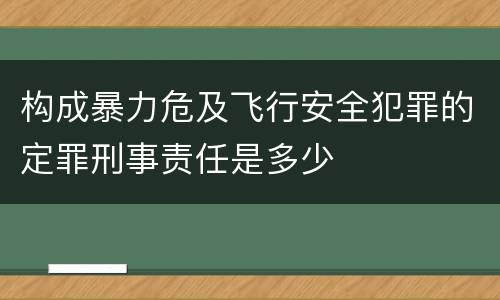构成暴力危及飞行安全犯罪的定罪刑事责任是多少