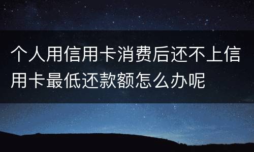 个人用信用卡消费后还不上信用卡最低还款额怎么办呢