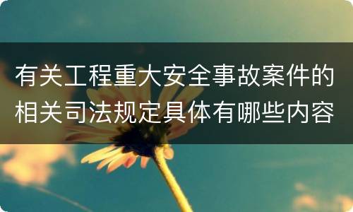 有关工程重大安全事故案件的相关司法规定具体有哪些内容