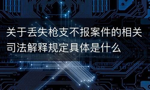 关于丢失枪支不报案件的相关司法解释规定具体是什么