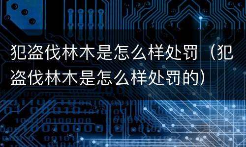 犯盗伐林木是怎么样处罚（犯盗伐林木是怎么样处罚的）