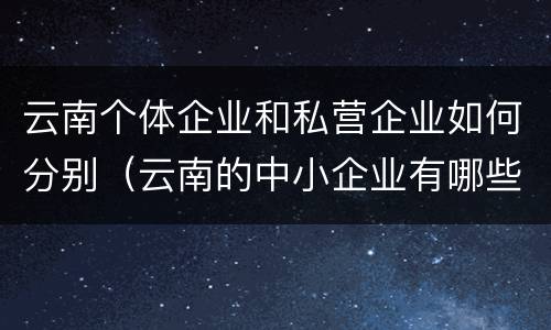 云南个体企业和私营企业如何分别（云南的中小企业有哪些）