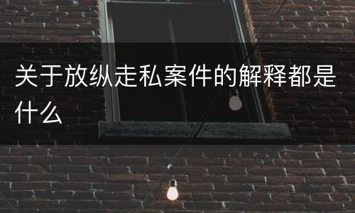 关于放纵走私案件的解释都是什么