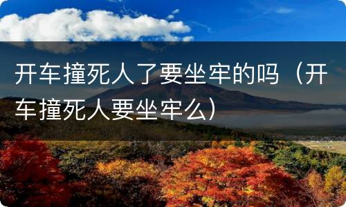 开车撞死人了要坐牢的吗（开车撞死人要坐牢么）