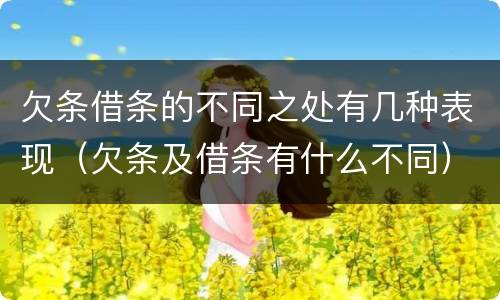 欠条借条的不同之处有几种表现（欠条及借条有什么不同）