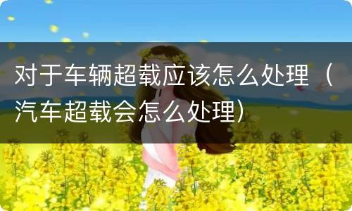 对于车辆超载应该怎么处理（汽车超载会怎么处理）