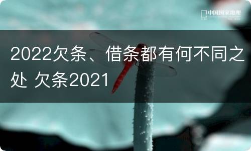 2022欠条、借条都有何不同之处 欠条2021