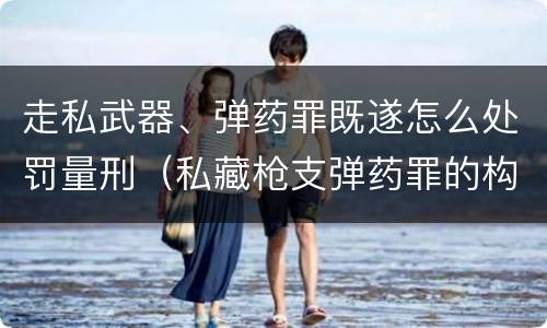 走私武器、弹药罪既遂怎么处罚量刑（私藏枪支弹药罪的构成）
