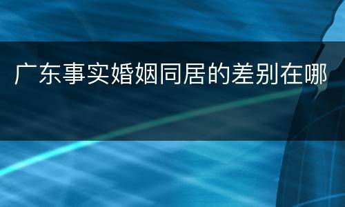 广东事实婚姻同居的差别在哪