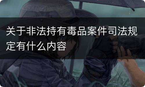 关于非法持有毒品案件司法规定有什么内容
