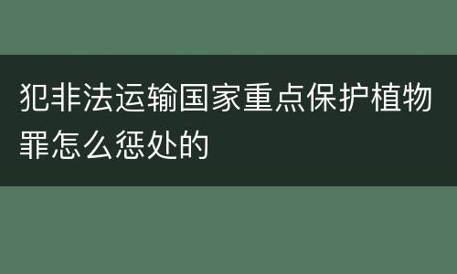 犯非法运输国家重点保护植物罪怎么惩处的
