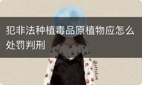 犯非法种植毒品原植物应怎么处罚判刑