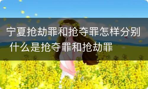 宁夏抢劫罪和抢夺罪怎样分别 什么是抢夺罪和抢劫罪