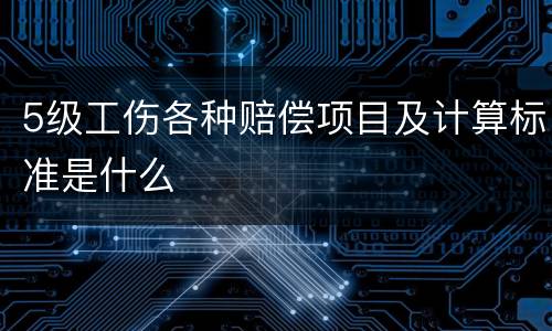 5级工伤各种赔偿项目及计算标准是什么