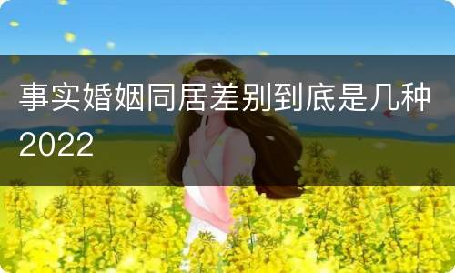 事实婚姻同居差别到底是几种2022