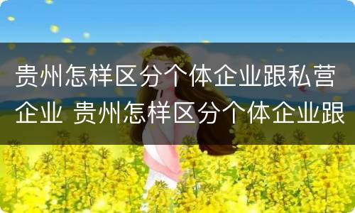 贵州怎样区分个体企业跟私营企业 贵州怎样区分个体企业跟私营企业的区别