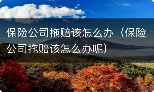保险公司拖赔该怎么办（保险公司拖赔该怎么办呢）