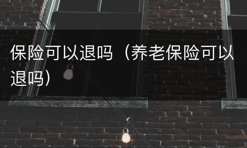 保险可以退吗（养老保险可以退吗）