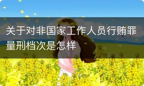 关于对非国家工作人员行贿罪量刑档次是怎样