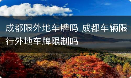 成都限外地车牌吗 成都车辆限行外地车牌限制吗